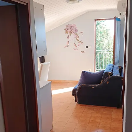 Apartments Cintya Porec Room photo