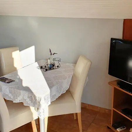 Apartments Cintya Porec Room photo
