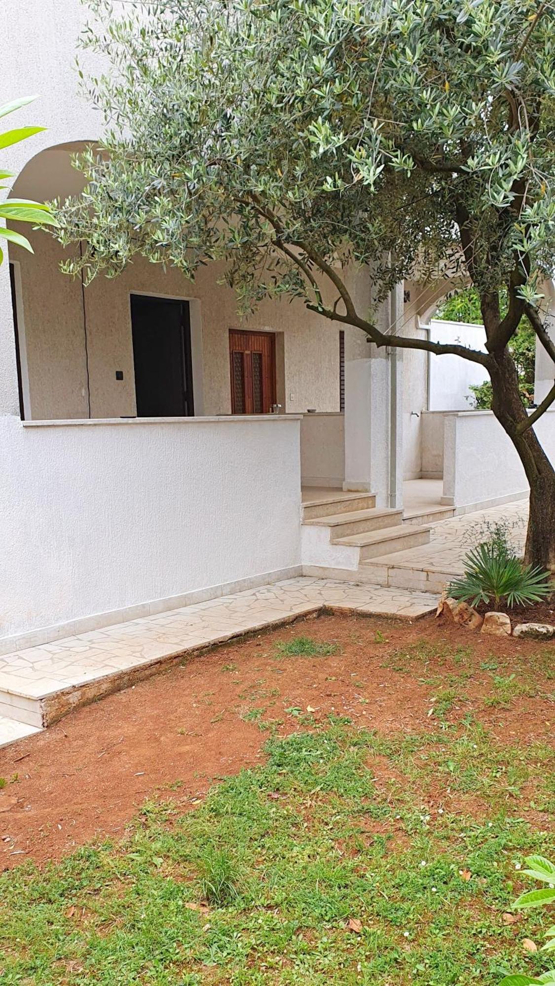 Apartma Cintya