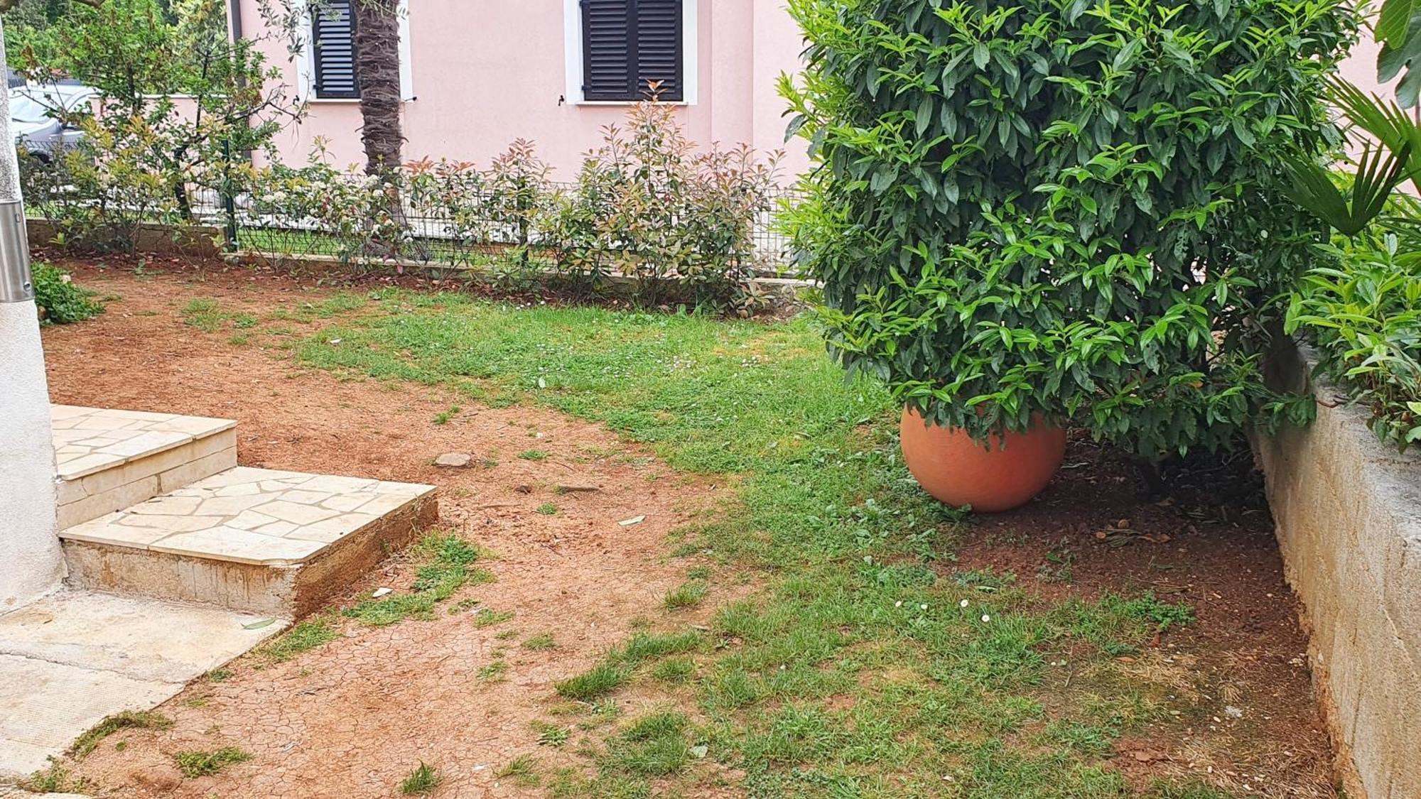 Apartment Cintya